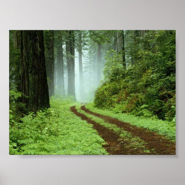 Poster Forêt (Devant)