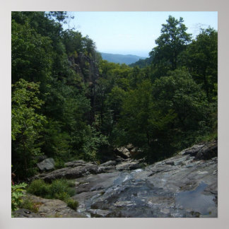 Poster Forêt