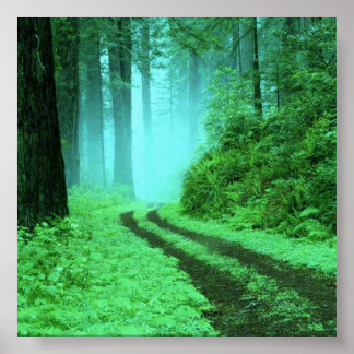 Poster forêt