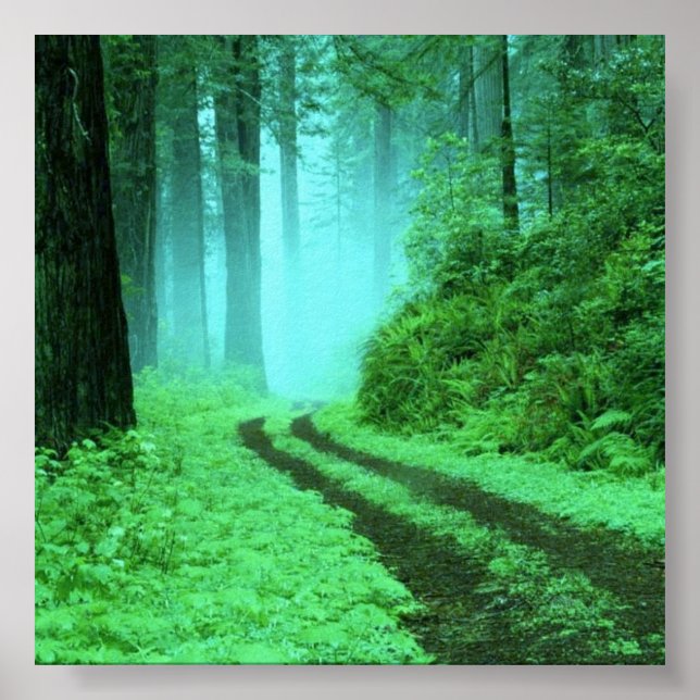 Poster forêt (Devant)