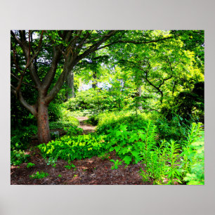 Poster forêt