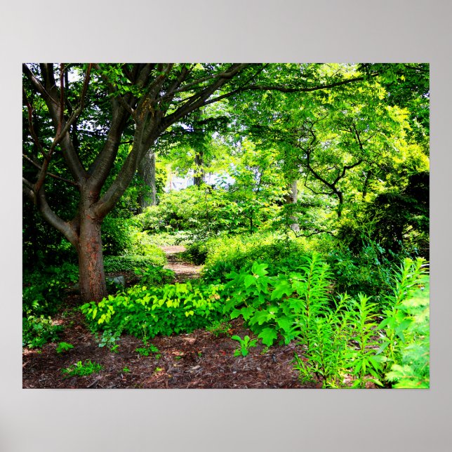 Poster forêt (Devant)