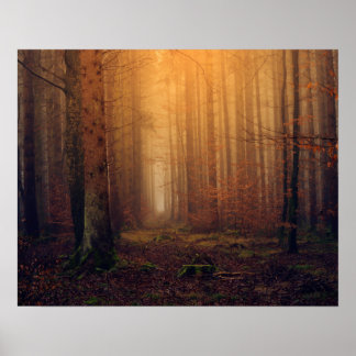 Poster Forêt