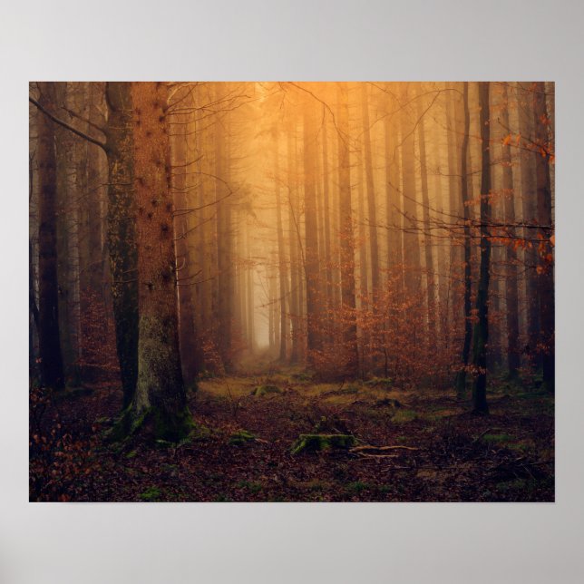 Poster Forêt (Devant)