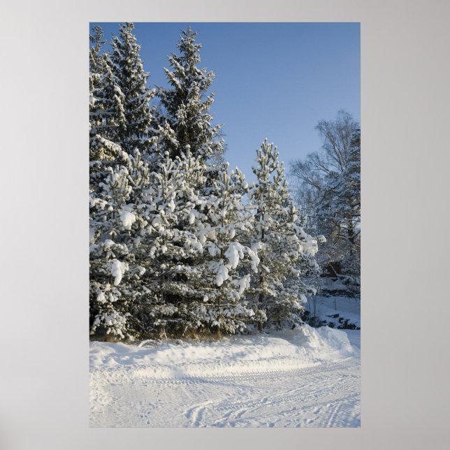 Poster Forêt (Devant)