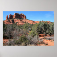 Forêt à Cathedral Rock