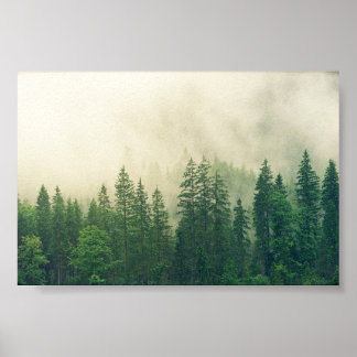 Poster forêt à poster, grande forêt