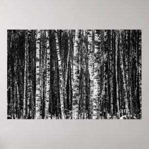 Poster Forêt Abstraite de Birch Noir et Blanc