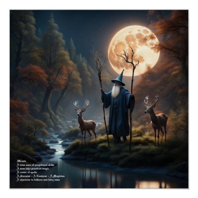 Poster Forêt Assistant (Devant)
