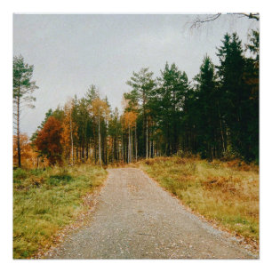 Poster Forêt automnale suédoise