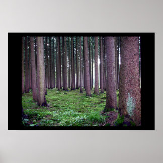 Poster Forêt bavaroise