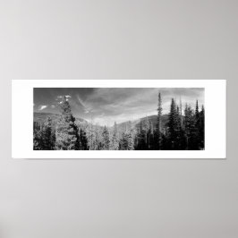 Poster Forêt Bois noir et blanc Photo Panoramique