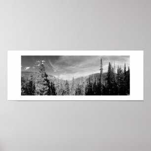 Poster Forêt Bois noir et blanc Photo Panoramique