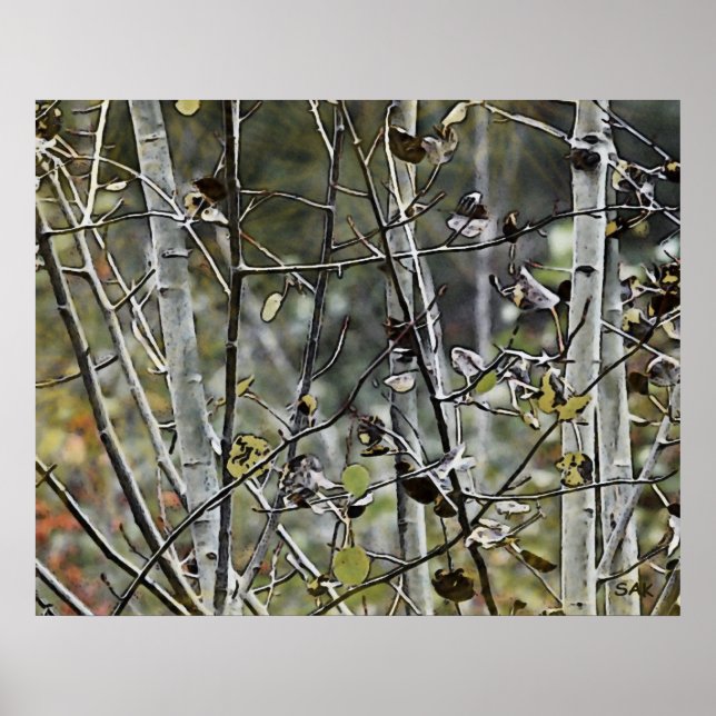 Poster Forêt d'Aspen (Devant)