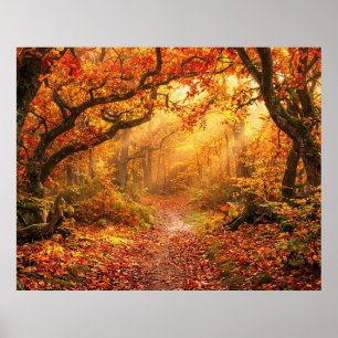 Poster Forêt d'automne