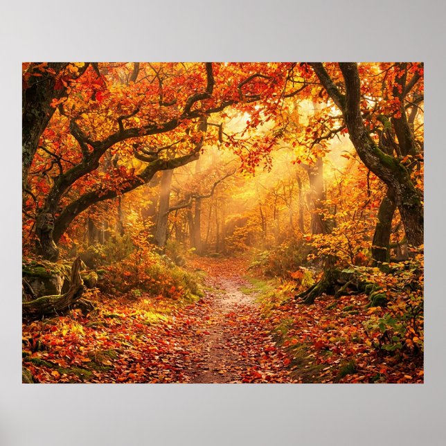 Poster Forêt d'automne (Devant)
