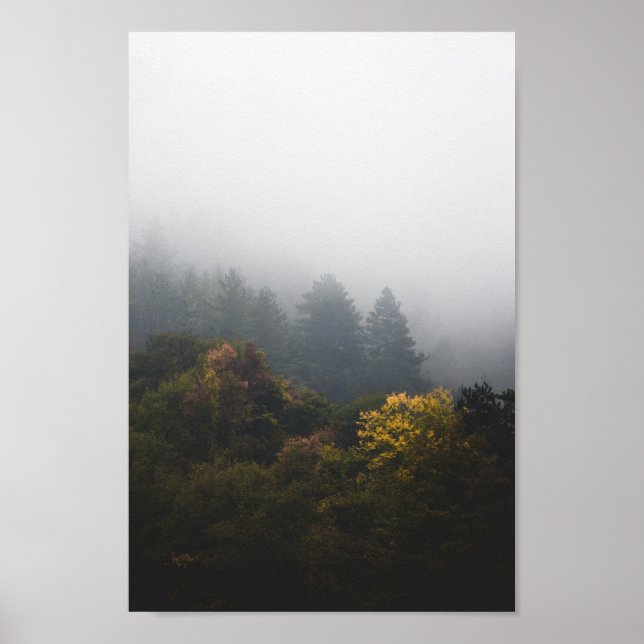 Poster Forêt d'automne enveloppée de brouillard (Devant)