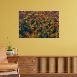 Poster Forêt d'automne époustouflante
