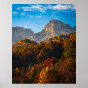 Poster Forêt d'automne sous les montagnes