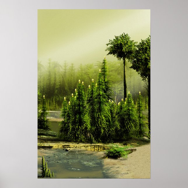 Poster Forêt de Carbonifère (Devant)