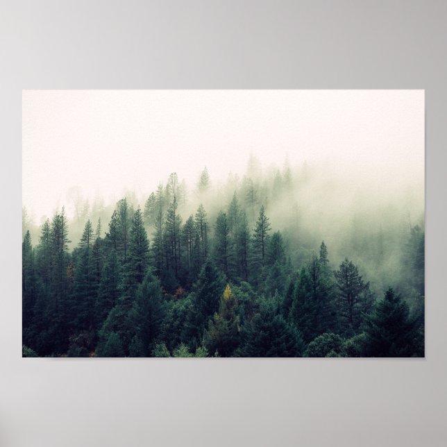 Poster Forêt de Foggy (Devant)
