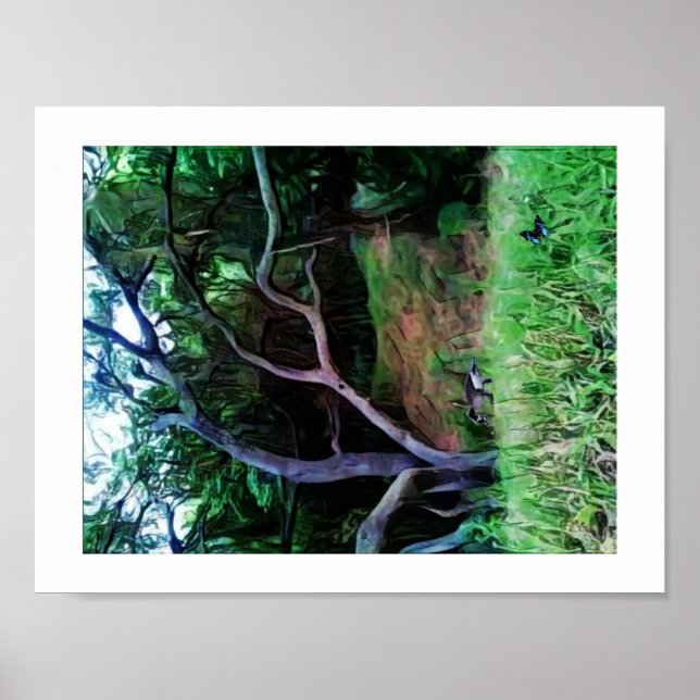 Poster Forêt de la rivière Sacramento (Devant)