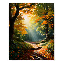 Forêt de lumière