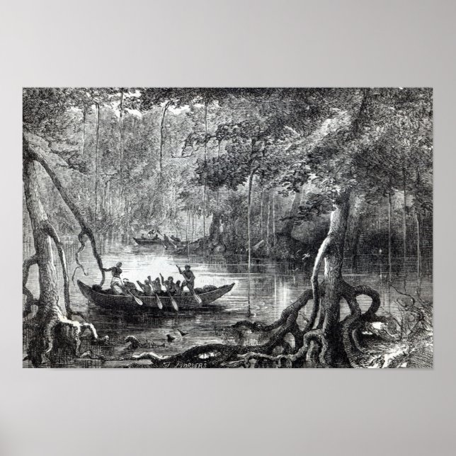 Poster Forêt de mangrove (Devant)