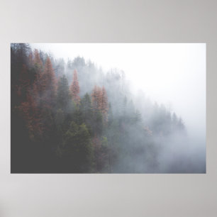 Poster Forêt de Misty