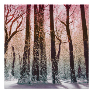 POSTER FORÊT DE NEIGE NATURE