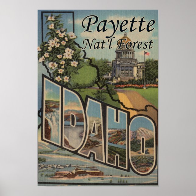 Poster Forêt de Payette Nat'l, Idaho - Scène aux grandes  (Devant)
