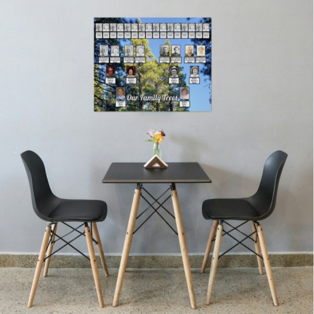 Poster Forêt de pins Photo 2 arbres de la famille (Créateur téléchargé)