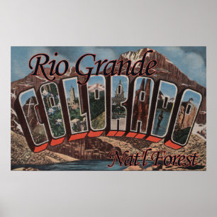Poster Forêt de Rio Grande Nat'l, Colorado