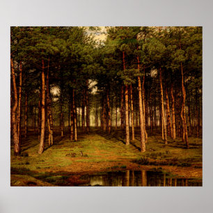 Poster Forêt de sapin à Putte avec lapins Jean Lamorinièr
