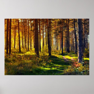 Poster Forêt de septembre