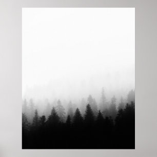 Poster Forêt d'épinette dans le brouillard
