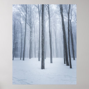 Poster Forêt d'hiver congelée