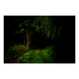 Poster Forêt éffrayante