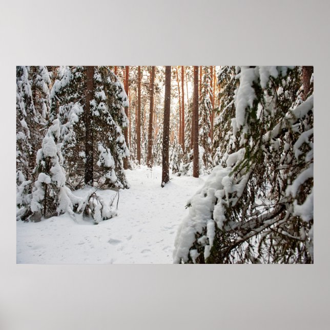 Poster Forêt en hiver (Devant)
