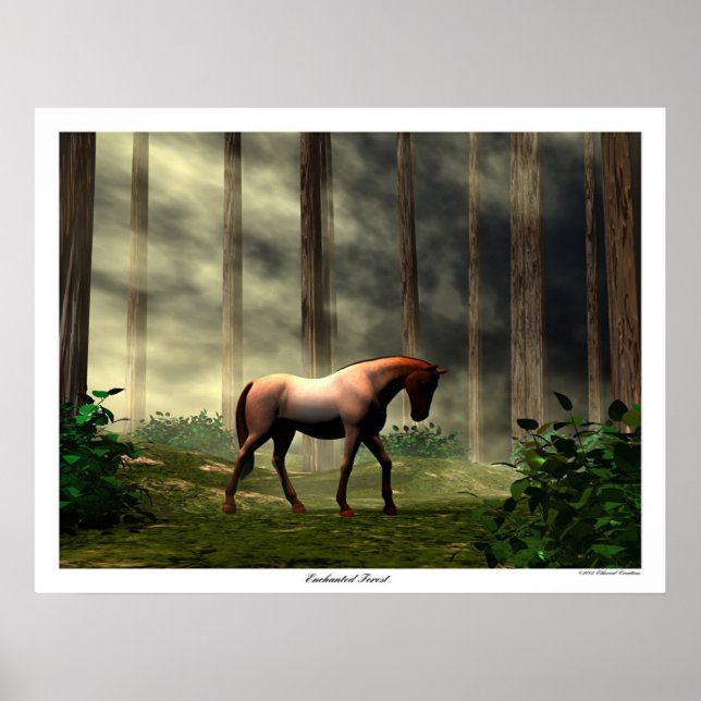 Poster Forêt enchantée (Devant)