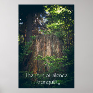 Poster Forêt estivale paisible