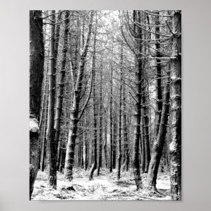 Poster Forêt forestière de neige d'hiver