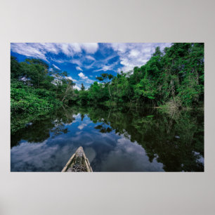 Poster Forêt   Forêt de la jungle péruvienne