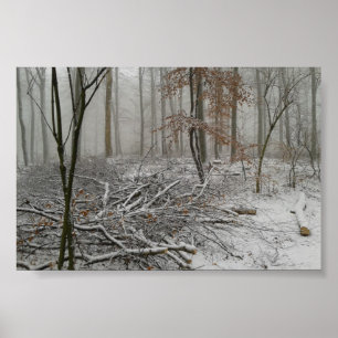 Poster Forêt hivernale neige