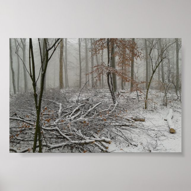 Poster Forêt hivernale neige (Devant)