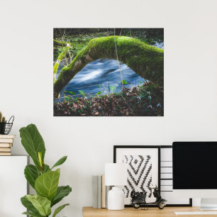 Poster Forêt magique enchantée
