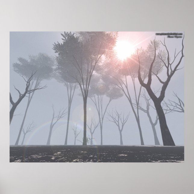 Poster Forêt Morte Dans Le Brouillard (Devant)