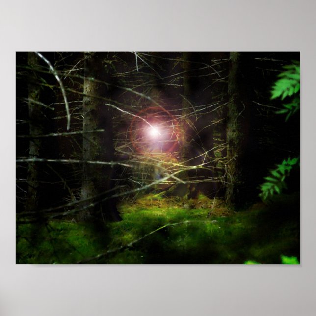 Poster Forêt mystique (Devant)