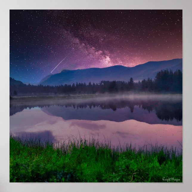 Poster Forêt nationale d'Ashley (Devant)