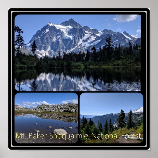 Poster Forêt nationale de Mt. Baker-Snoqualmie Collage (Devant)